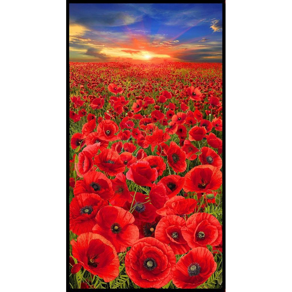 Sunset Poppies Red Poppy Field 24" Panel