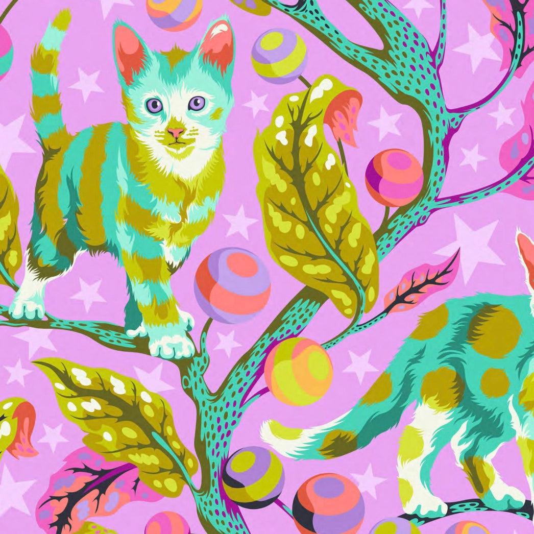 Tabby Road Deja Vu Electroberry Club Kitty Minky Fabric-Free Spirit Fabrics-My Favorite Quilt Store