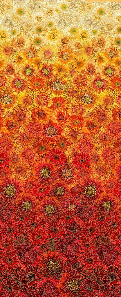 Thankful Ombre Metallic Mums Floral Fabric-Timeless Treasures-My Favorite Quilt Store