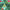 Winterly Spruce Christmas Tree Mosaic Geometrics Fabric