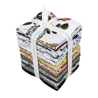 Cretaceous Fat Quarter Bundle 24pc. - Riley Blake Fabrics