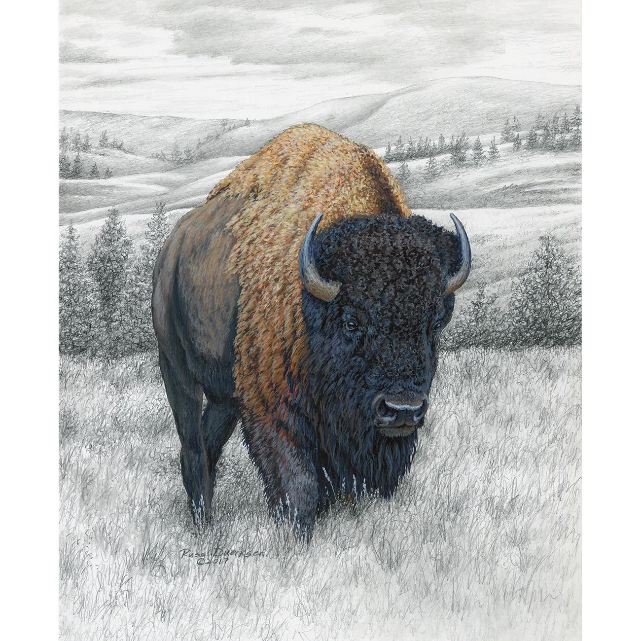 Big Game Bison Digital Panel 36in X 43.5in - Riley Blake Fabrics | My ...