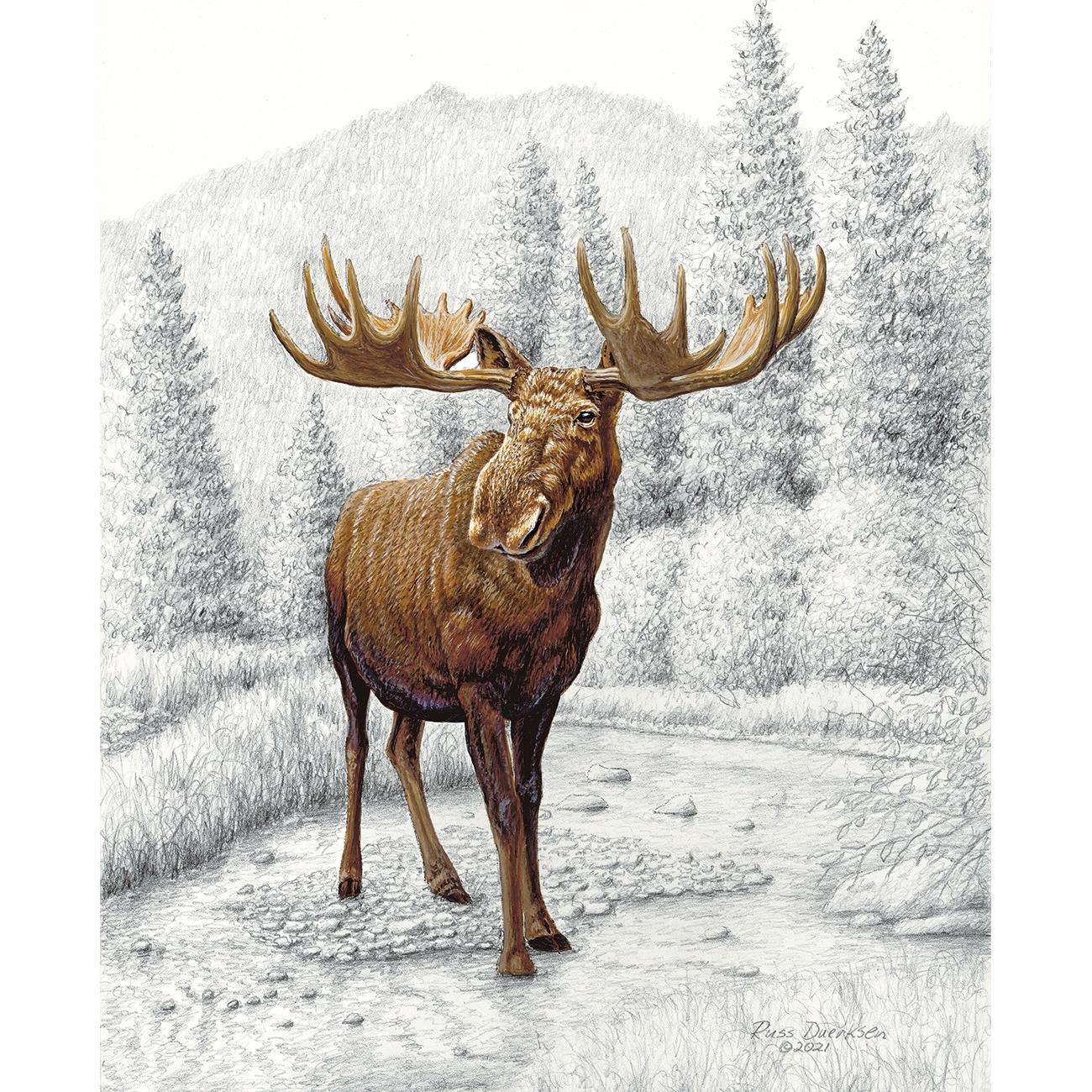 Big Game Moose Digital Panel 36in X 43.5in-Riley Blake Fabrics-My Favorite Quilt Store