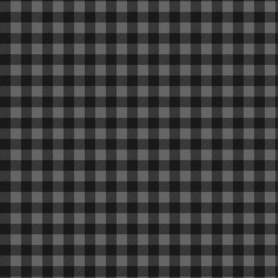 Timeless Treasures Beeloved Black Gingham Fabric