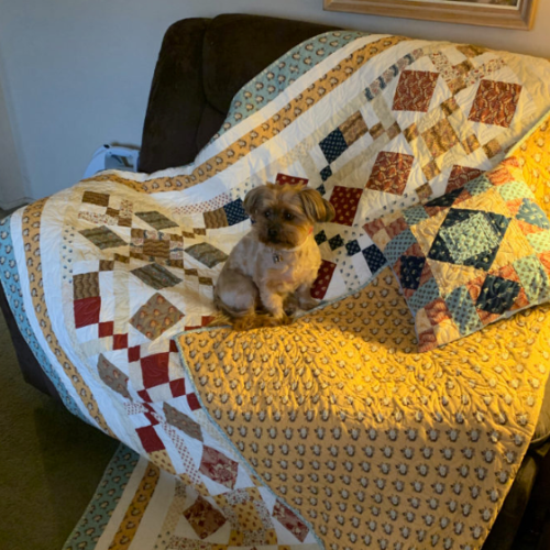 Fancy Parlor Quilt