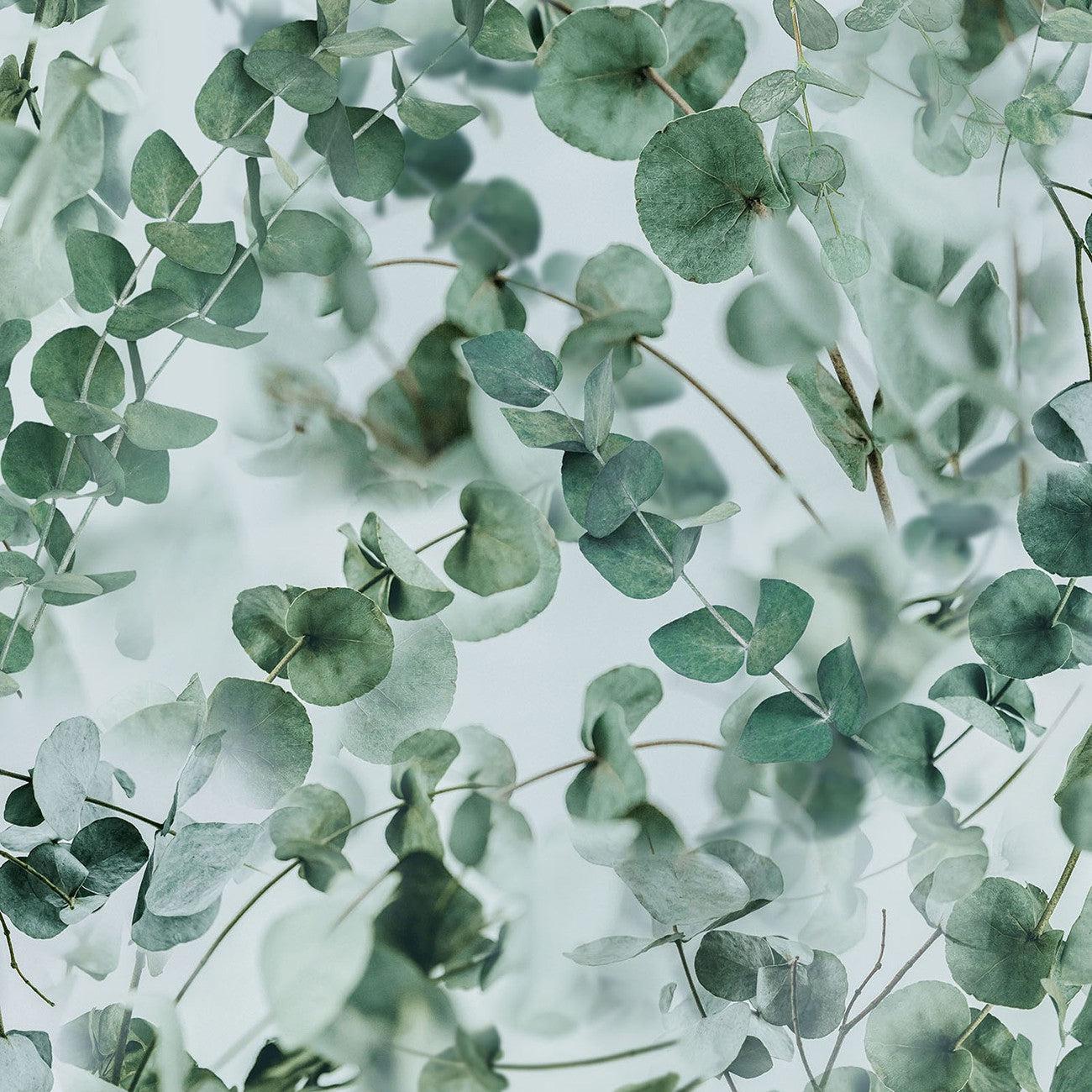 Farmhouse Blooms Eucalyptus Leaves Digital Fabric
