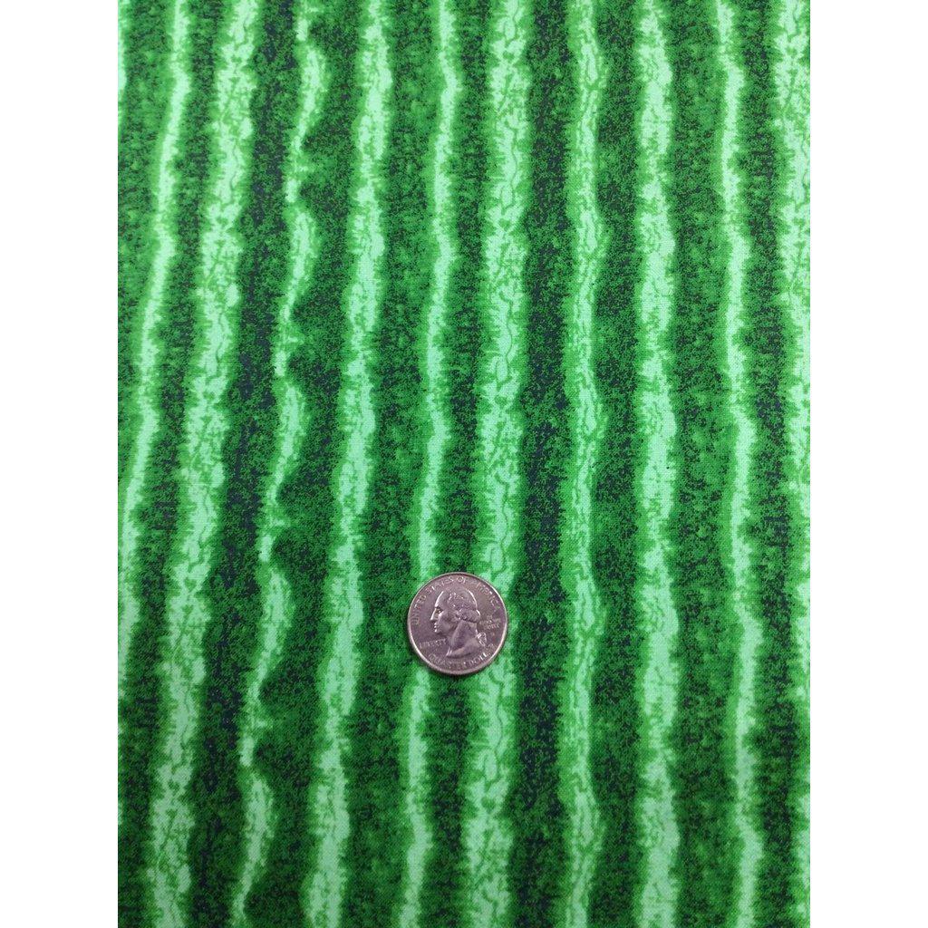 Green Stripe Watermelon Rind Fabric-Timeless Treasures-My Favorite Quilt Store