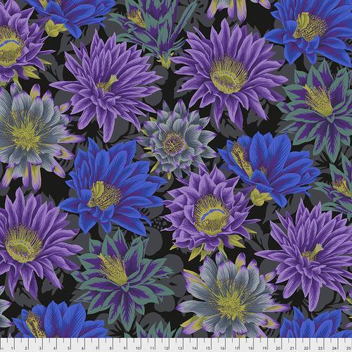 Kaffe Fassett Collective Spring 2019 Cactus Flower Black Fabric-Free Spirit Fabrics-My Favorite Quilt Store