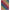 Mammoth Flannel Rainbow Quilt Pattern - Free Pattern Download