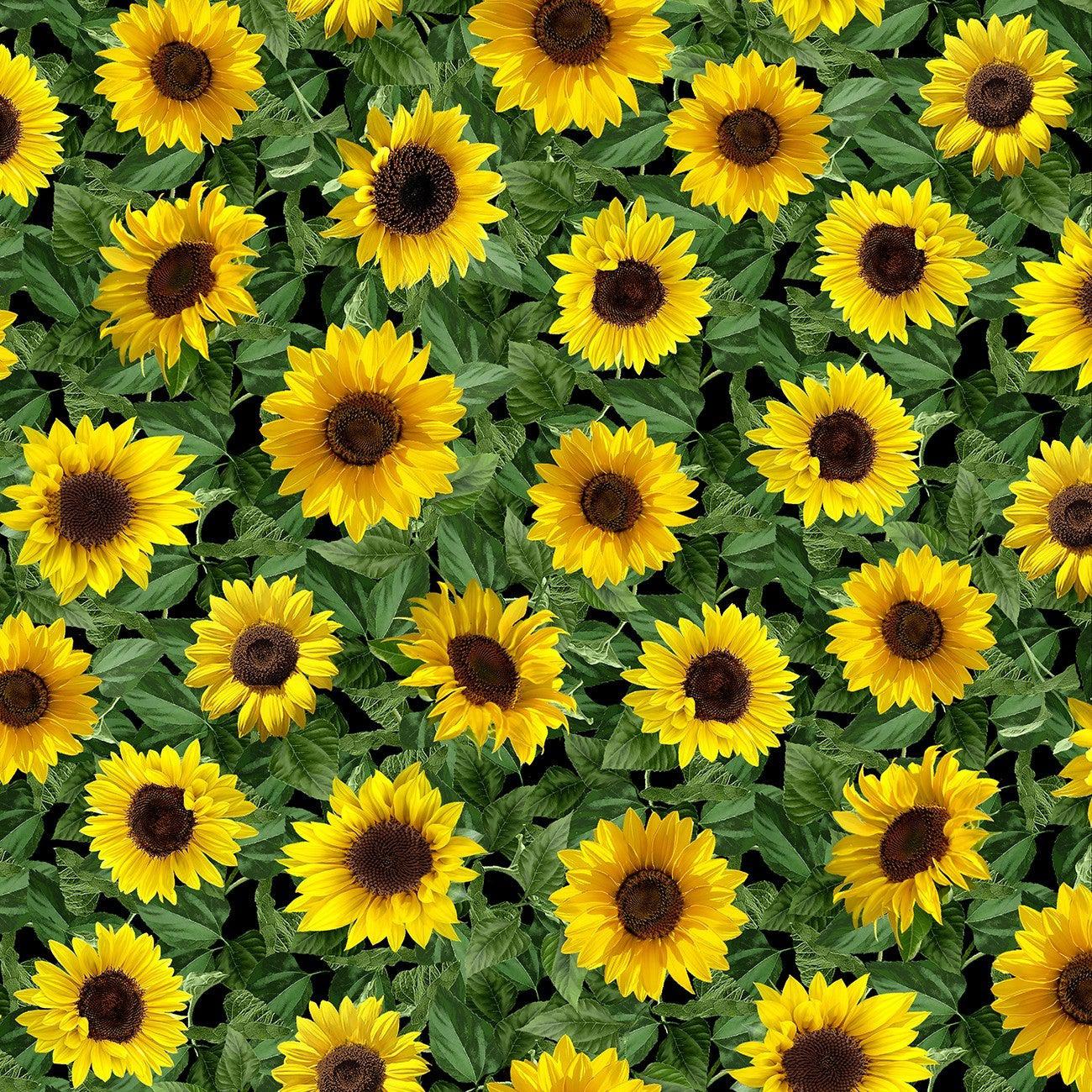 Sunflower Sunset Black Small Leafy Sunflowers Fabric