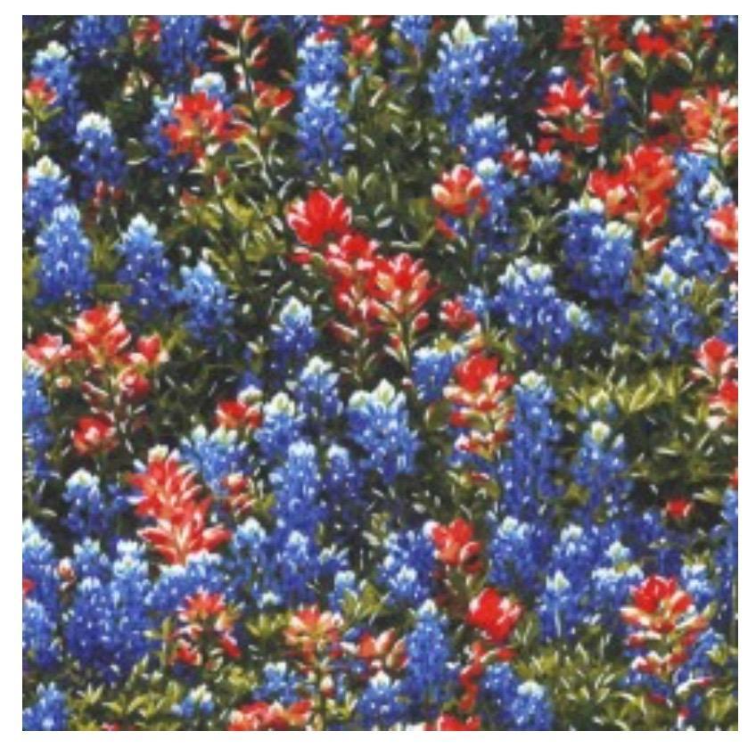 Texas Wild Flowers Fabric