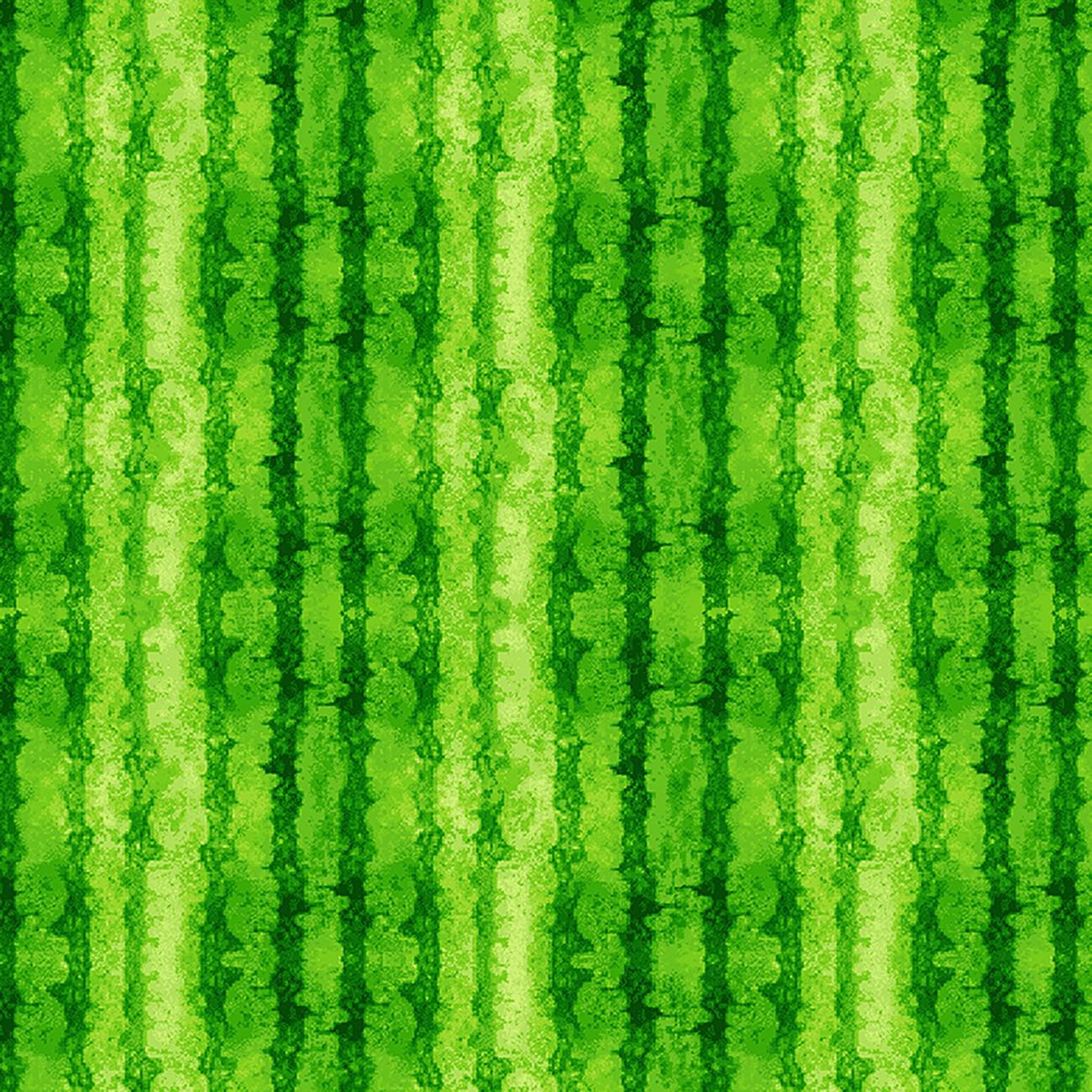 Watermelon Party Green Rinds Texture Fabric