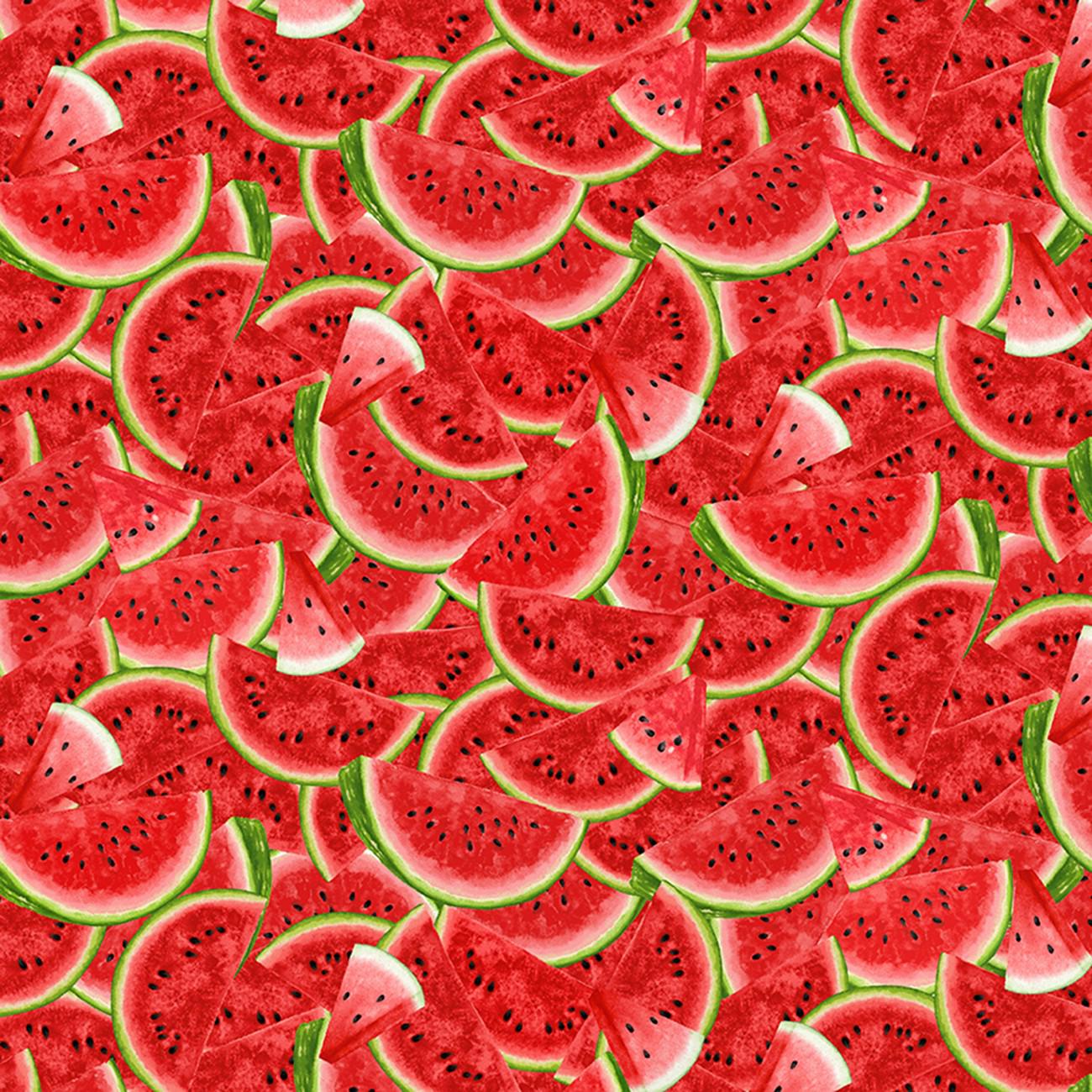 Watermelon Party Multi Packed Slices Fabric - Timeless Treasures