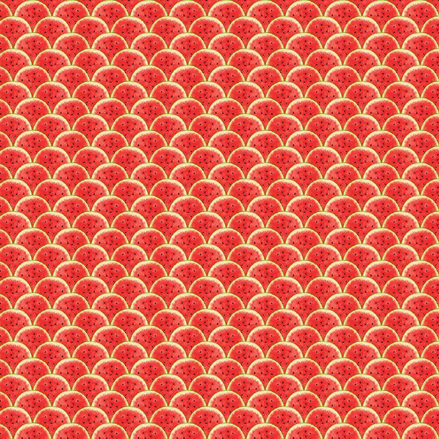 Watermelon Party Red Scallop Watermelon Fabric-Timeless Treasures-My Favorite Quilt Store