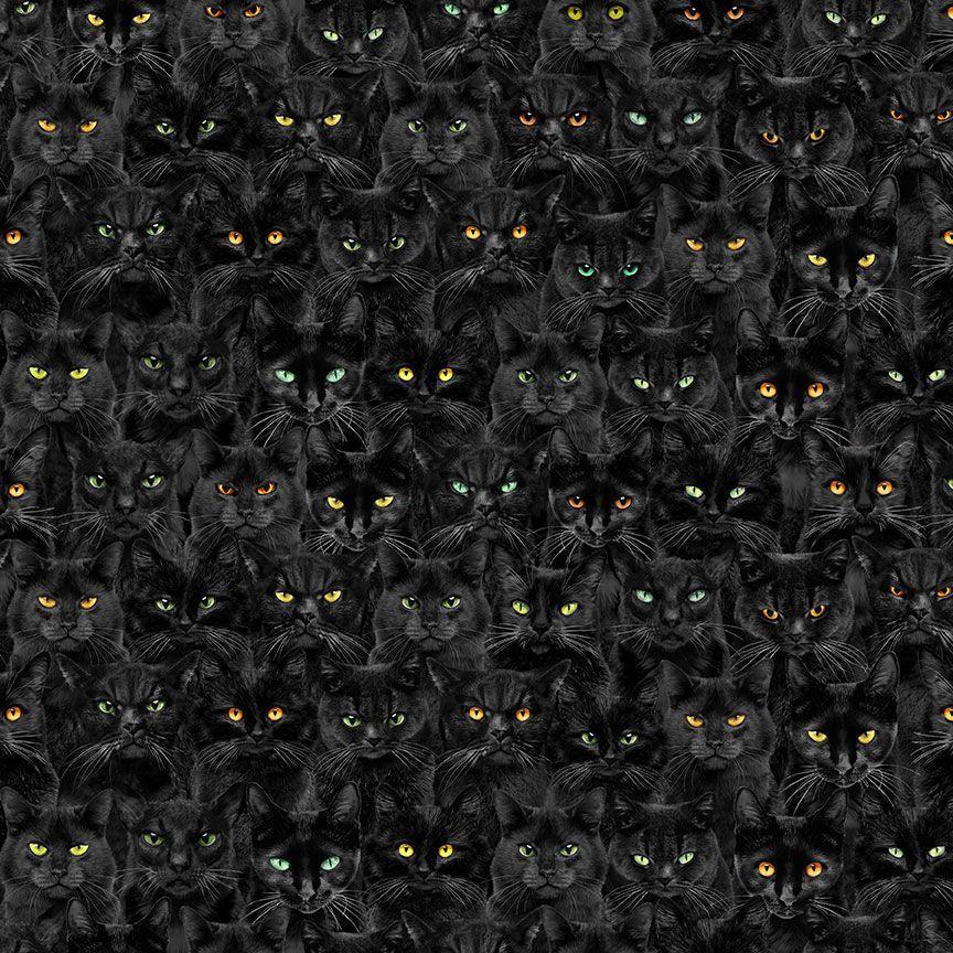 Wicked Black Cats Magic Fabric