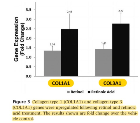 retinoid treatment improving procollagen synthesis