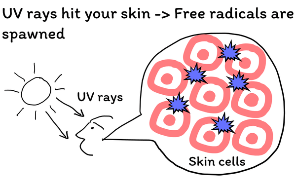 UV spawns free radicals
