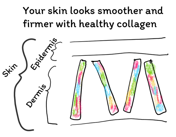 Your skin looks smoother and firmer with healthy collagen