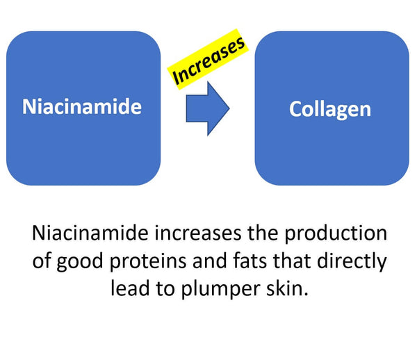 niacinamide fuels collagen production