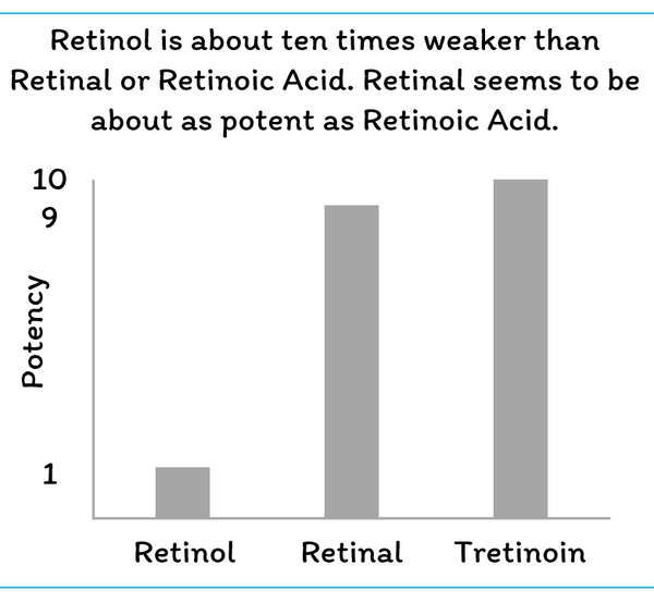 retinal is as potent as tretinoin retinoic acid