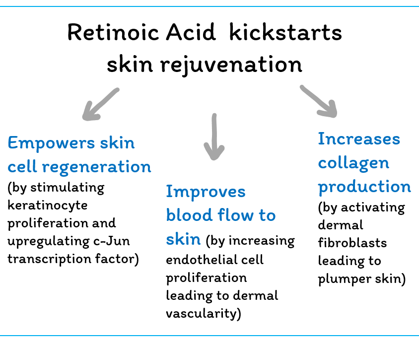 retinoids kickstart biological activities