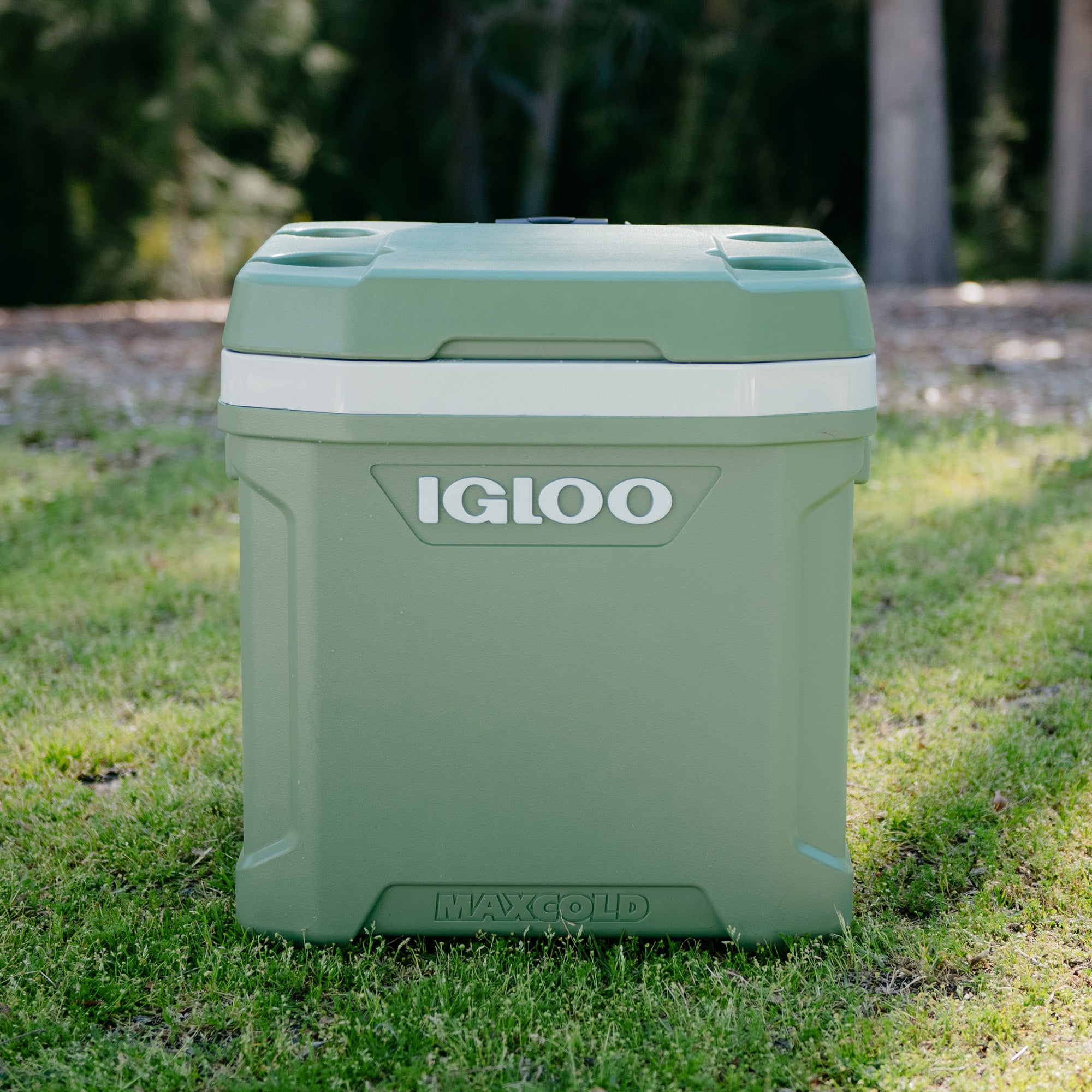 Man and toddler pulling the 60 qt cooler at the park