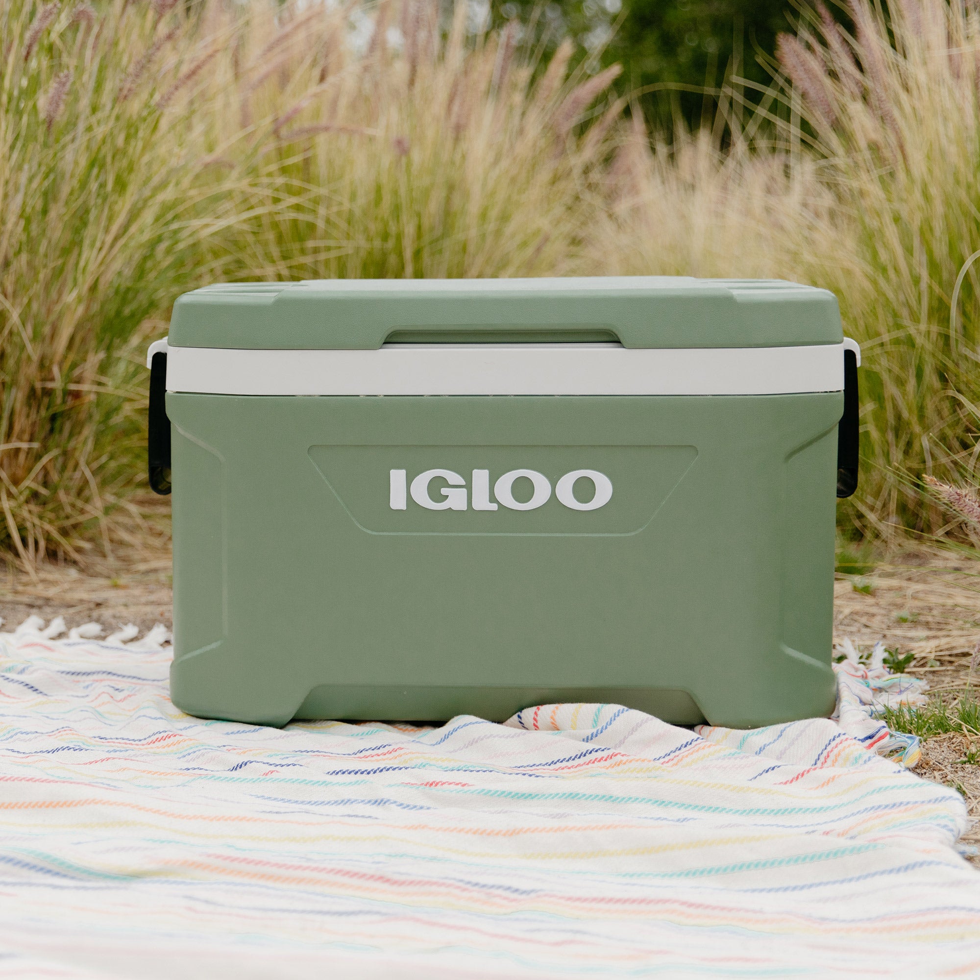 Lid open on 52 quart cooler with ice and drinks.