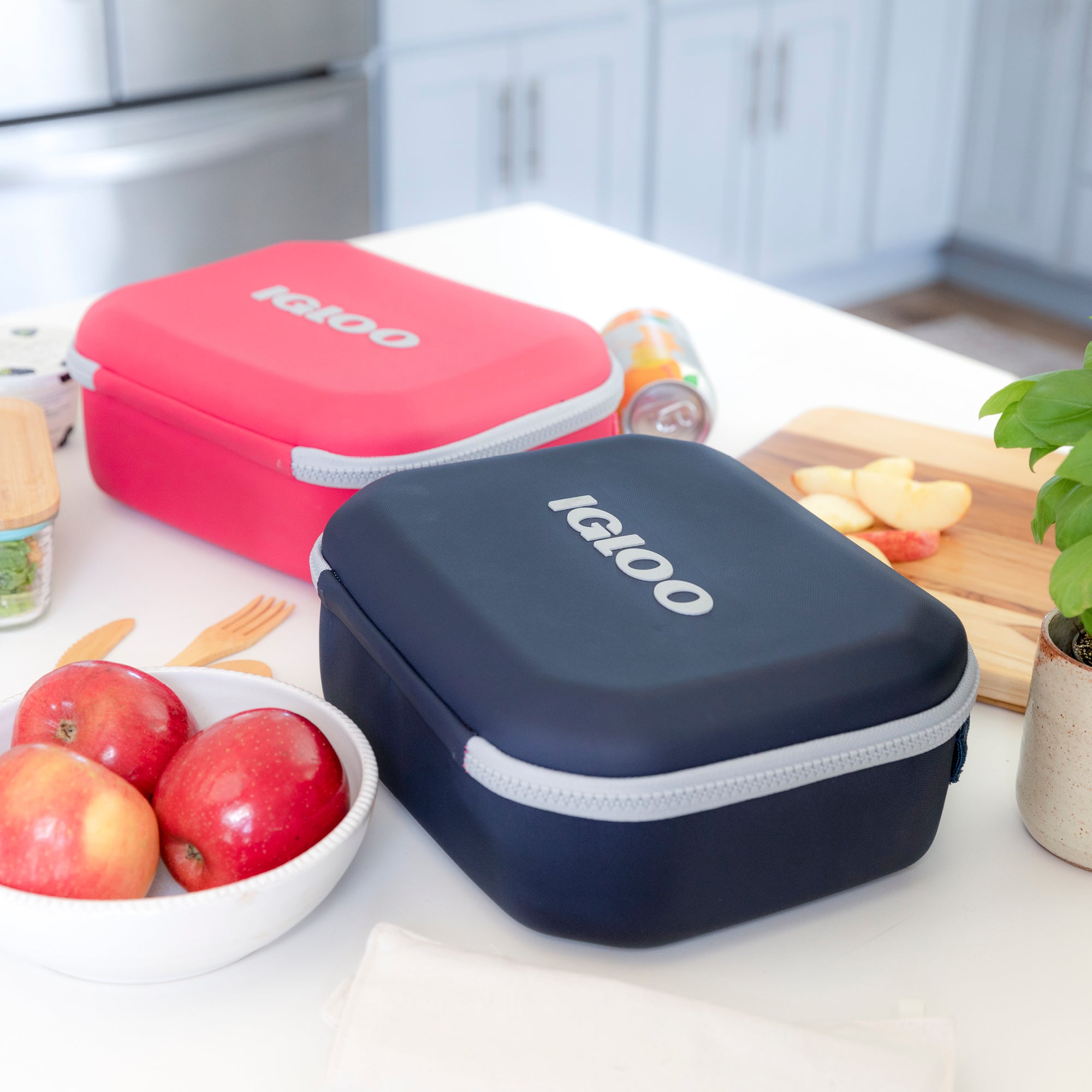 Igloo Sleek Hard Body Modern Lunch Box Cooler