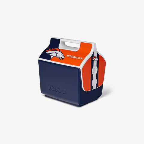 Houston Texans RC Cooler