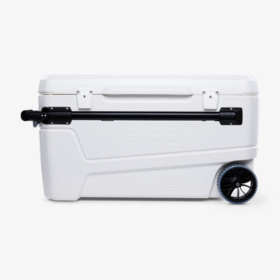 Igloo Coolers  Polar 120 Qt Cooler-White