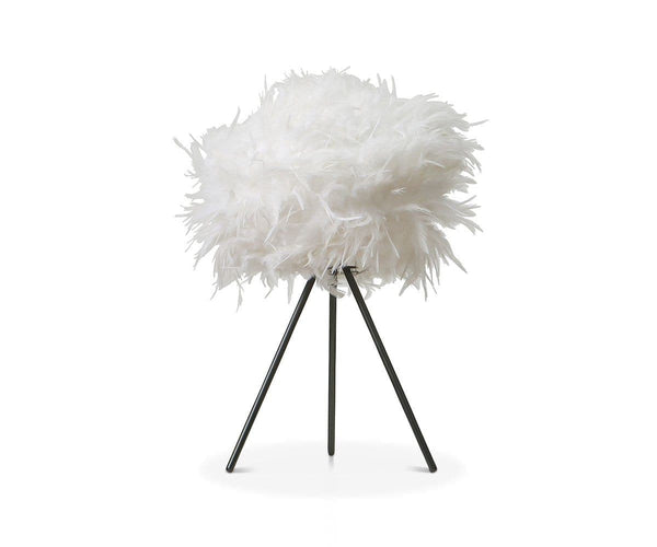 feather lamp homebase