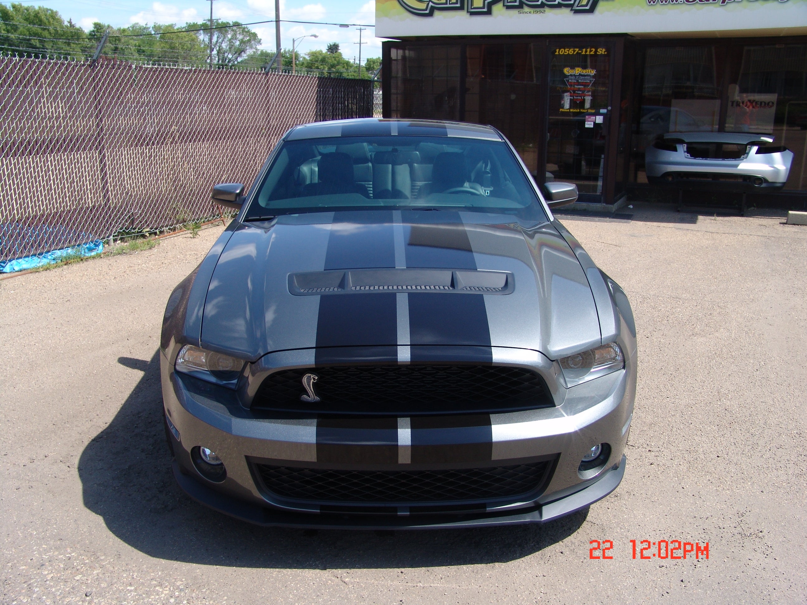 Mustang Shelby Gt500 Stripe Kit 3346 Car Pretty Inc