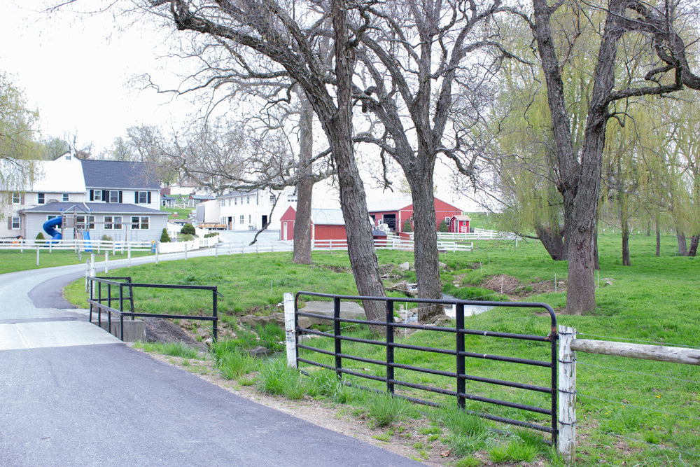 Farm in Quarryville, PA