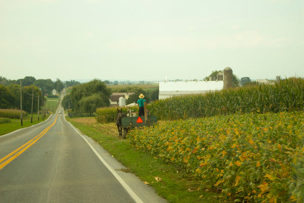 field and road