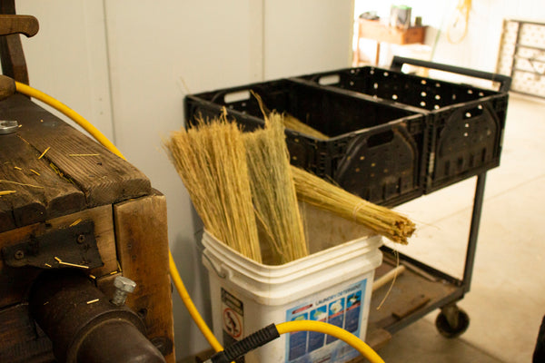 The broom corn soaking in hot water for several minutes to make it flexible.