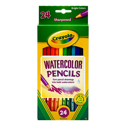 Crayola 54-1068 Unicreatures Paint and Canvas Set