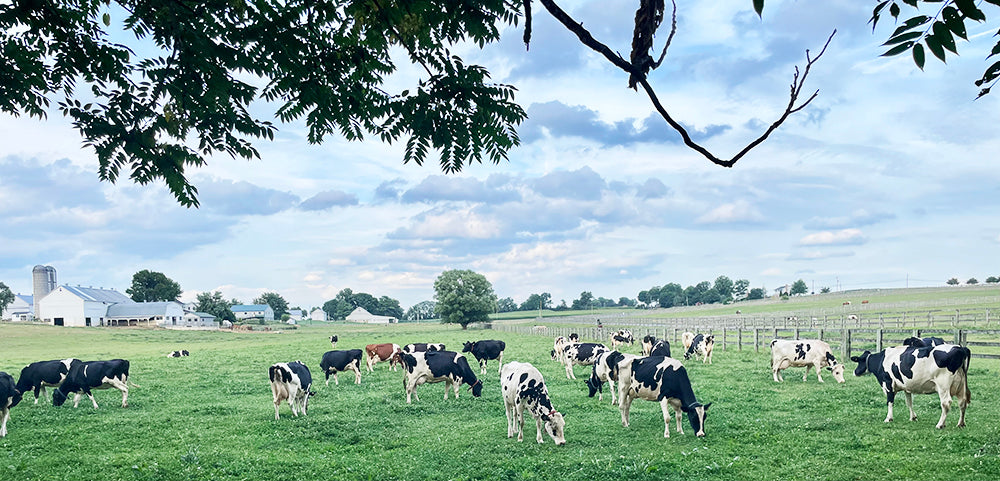 Lancaster County Farmland