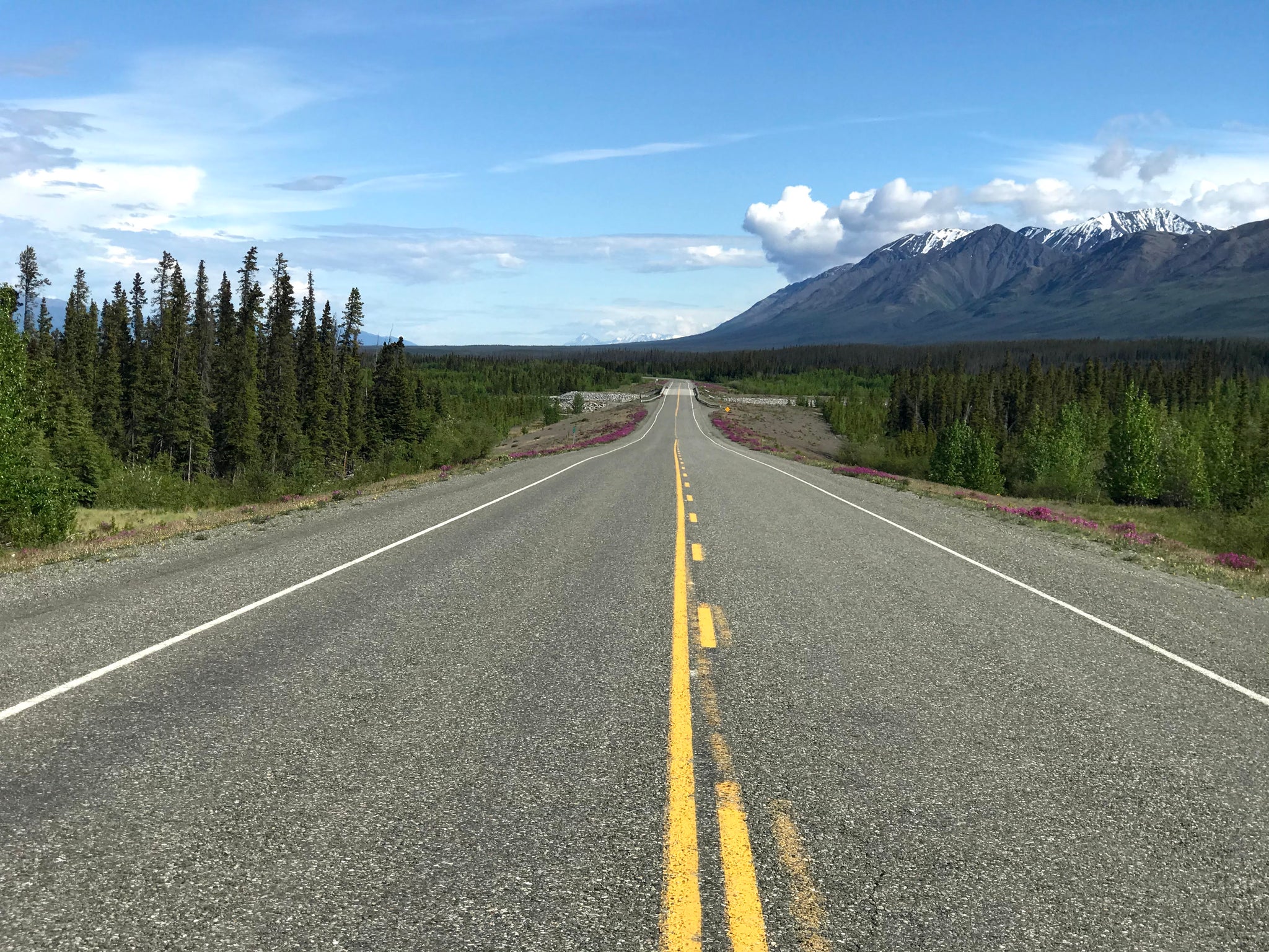 Sunny day on the Alcan Highway