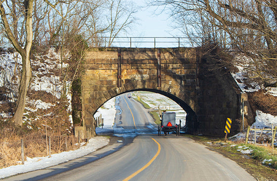 Amish buggy underneath bridge