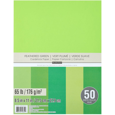 Recollections 12 Packs: 50 Ct. (600 Total) Cream 8.5 x 11 Cardstock Paper