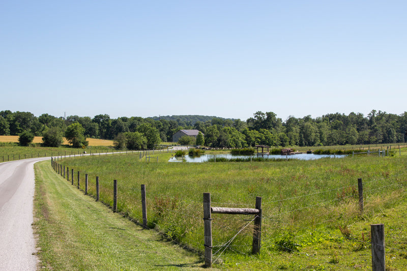 Country road in Lancaster PA