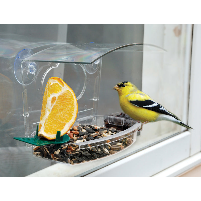 best window bird feeder for winter