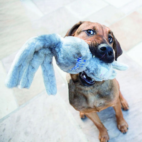 https://cdn.shopify.com/s/files/1/1921/0751/products/wubba-furry-dog-toy_large.jpg?v=1694106909