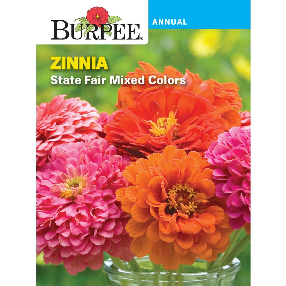 Burpee State Fair Zinnia Flower Seed Pack 30198 – Good's Store Online
