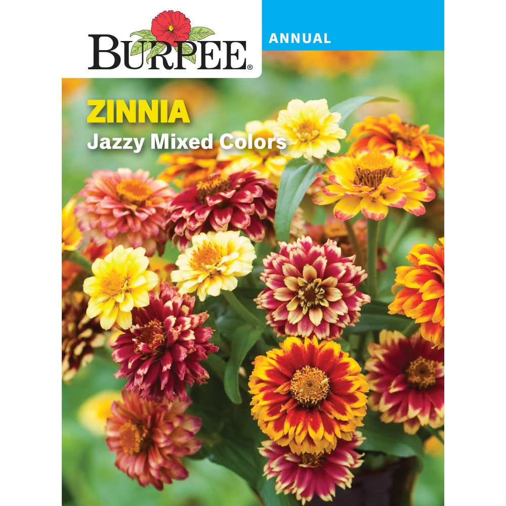 Burpee Jazzy Zinnia Flower Seed Pack 35170 – Good's Store Online