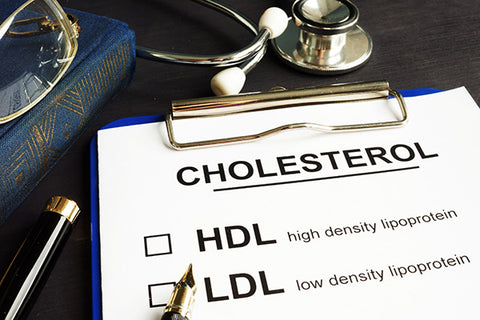 PYP 31 | Metabolizing Cholesterol 