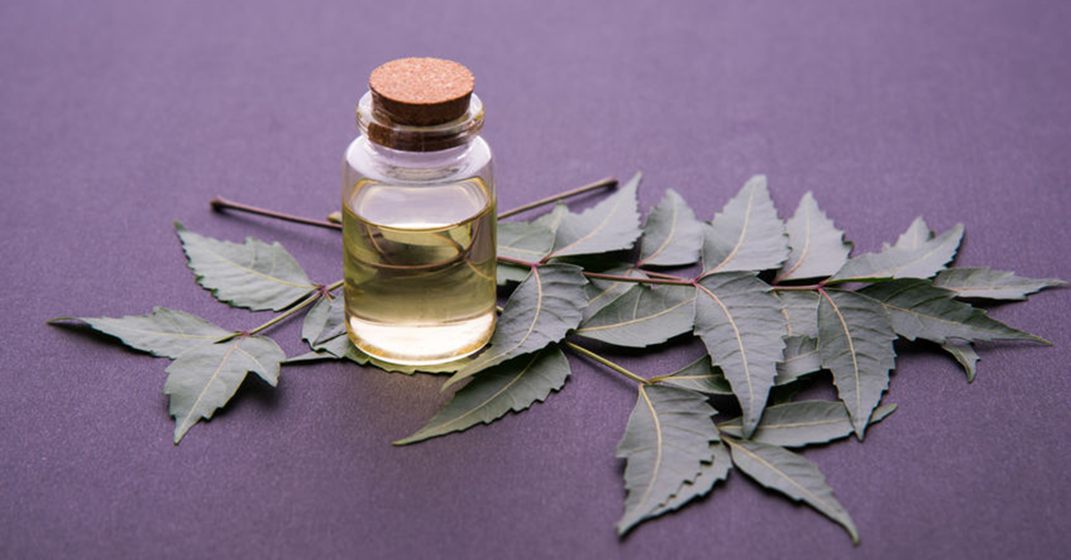 The Benefits of Neem Oil