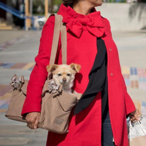 Picture of a comfortable pet in a dog sling carrier.