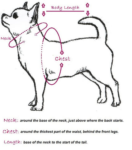 Dog Measurements