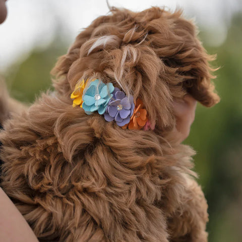 Image showing a puppy wearing a floral collar.